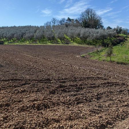 Locanda Agricola Posapiano Монтекарло Экстерьер фото