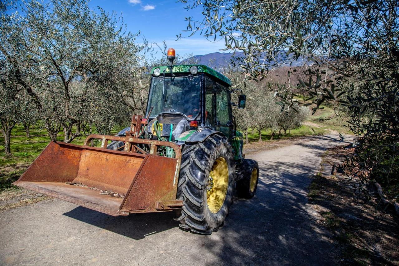 Locanda Agricola Posapiano Монтекарло Экстерьер фото