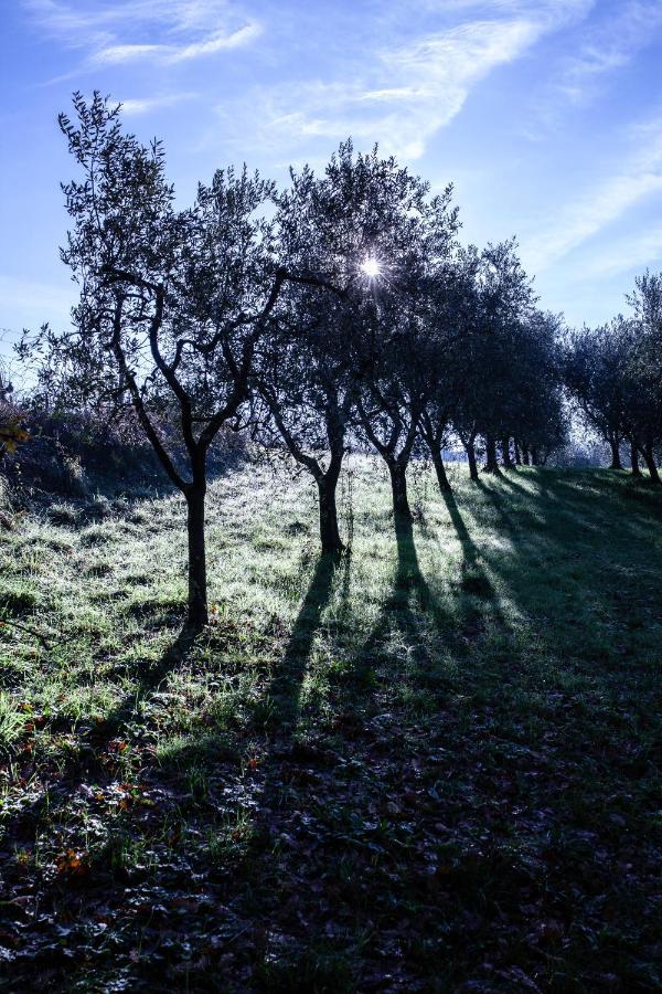 Locanda Agricola Posapiano Монтекарло Экстерьер фото